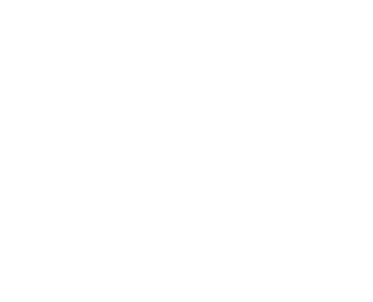 Kashni Logo